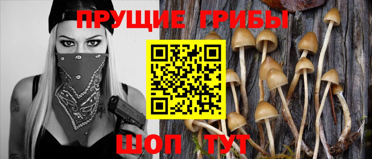 Ивантеевка  Псилоцибиновые грибы ЛСД  Псилоцибиновые грибы GOLDEN TEACHER  Вход с VPN 